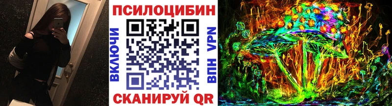 дарнет шоп  Вилючинск  Псилоцибиновые грибы ЛСД 